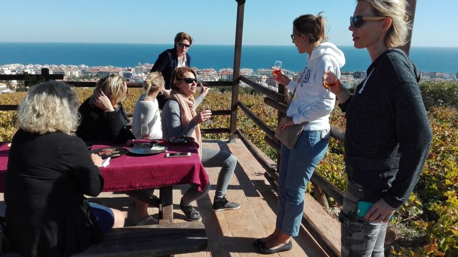 Manilva: Nilva Vineyard, Wine Tasting & Tapas Guided Tour - Why this small Manilva project matters
