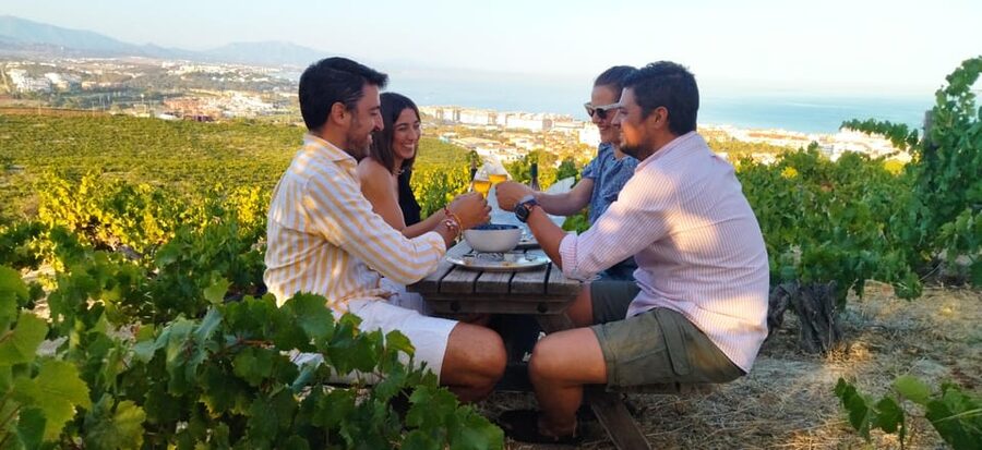 Manilva: Nilva Vineyard, Wine Tasting & Tapas Guided Tour - Starting at CIVIMA, Manilva’s wine museum