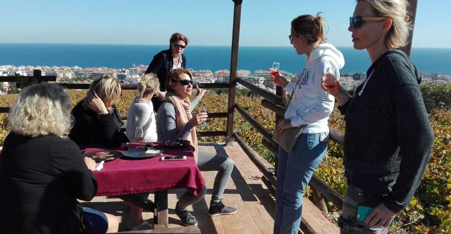 Manilva: Nilva Vineyard, Wine Tasting & Tapas Guided Tour - Reaching the vineyard, about 1 kilometer away