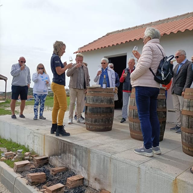 Manilva: Nilva Vineyard, Wine Tasting & Tapas Guided Tour - Tasting Nilva wine beside the Mediterranean
