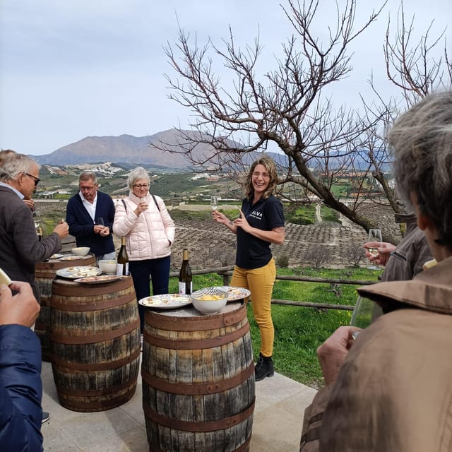 Manilva: Nilva Vineyard, Wine Tasting & Tapas Guided Tour - Weather, clothing, and practical planning