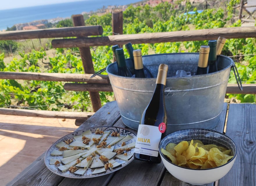 Manilva: Nilva Vineyard, Wine Tasting & Tapas Guided Tour - Who will enjoy this tour most