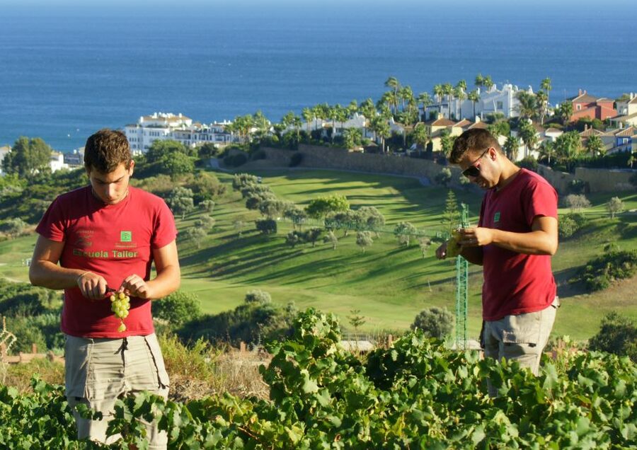 Manilva: Nilva Vineyard, Wine Tasting & Tapas Guided Tour - Inside the Nilva garage winery