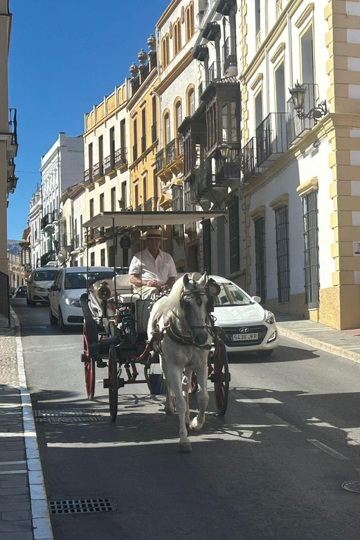 Marbella/Estep. Private VIP-Tour Ronda incl. Tapas & Drinks - Puente Nuevo and the Tajo gorge