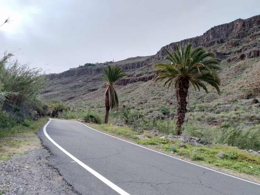 Maspalomas: Southern Coast E-Bike Tour Option Tapas Tasting - Key points to know before booking