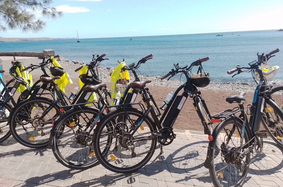 Maspalomas: Southern Coast E-Bike Tour Option Tapas Tasting - The banana plantation and southern agriculture