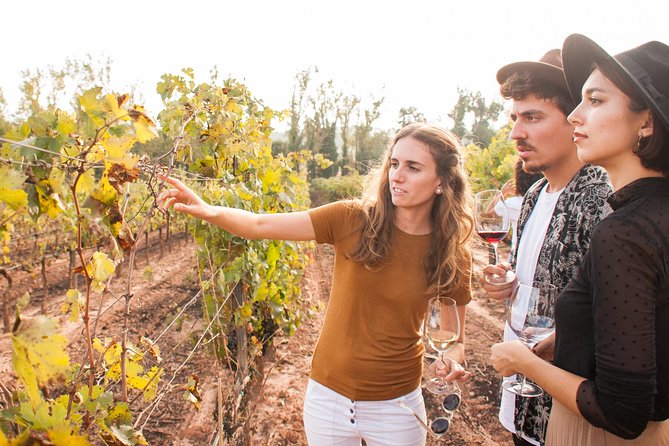 Montserrat & Cogwheel Train, Gourmet Wine Tasting & Tapas/Lunch - Is the $81.02 price good value?