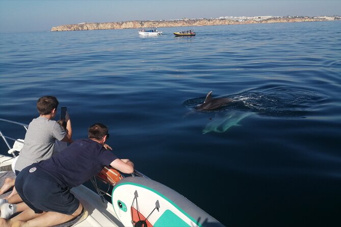 Morning private charter with drinks tapas, paddle boards &kayak - Tapas, wine, and the social side of the trip