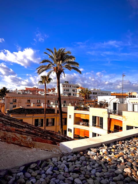 Palma authentically. Small group City tour with tapas - Key points to know before you book