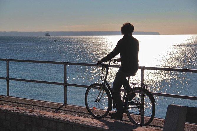 Palma de Mallorca 3-Hour Highlights and Tapas Tasting Bike Tour - Sant Francesc and the tomb of Ramon Llull
