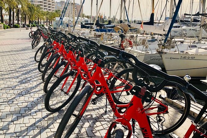 Palma de Mallorca Bike Tour with tapas - Basilica de Sant Francesc and the old city churches