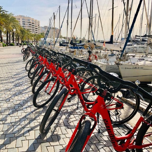 Palma de Mallorca: Guided Bicycle Tour with Tapas & a Drink - Key points at a glance