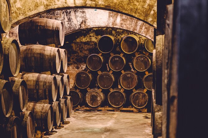 Palma Distillery Tour with 3 Spirits and Gourmet Tapas Tasting - What happens inside Bodegas Suau