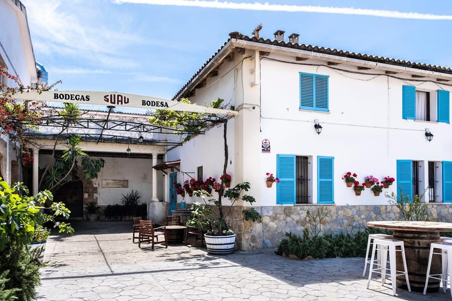 Palma: Distillery Tour with 3 Spirits and Tapas Tasting - Key points before you book