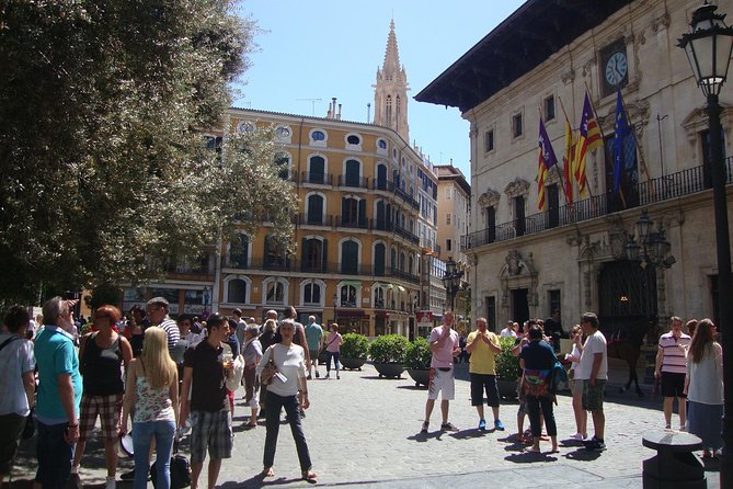 Palma old town tour with Wine & Tapas Tastings - Who will enjoy this Palma experience?