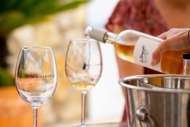 Palma Tapas Tour- The Original! - What the $180.35 price really covers