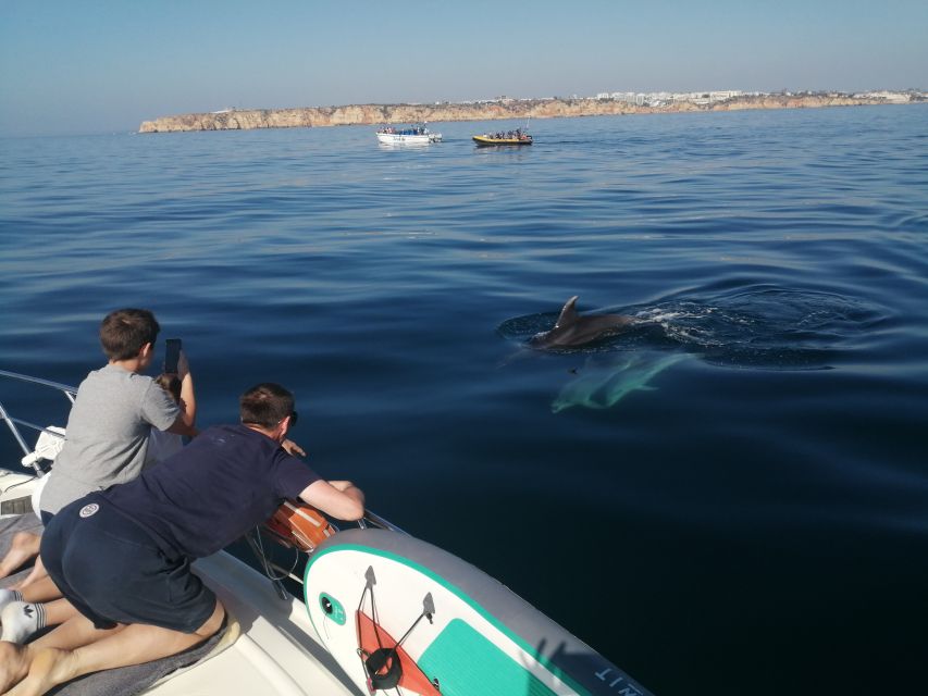 ponta da piedade 2h luxury charter with drinks and tapas - Why Ponta da Piedade works so well by boat