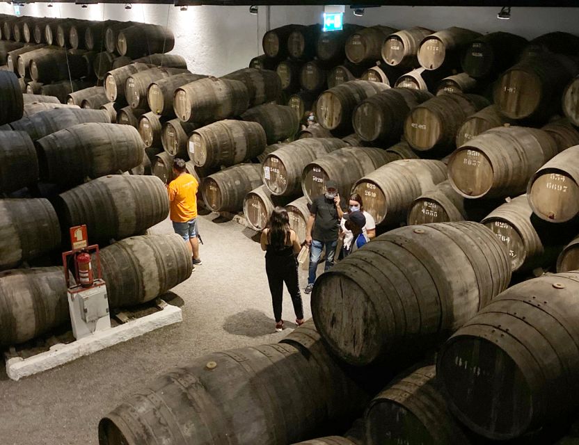 Porto: Wine Tasting with Tapas Walking Tour - Which guide style suits you