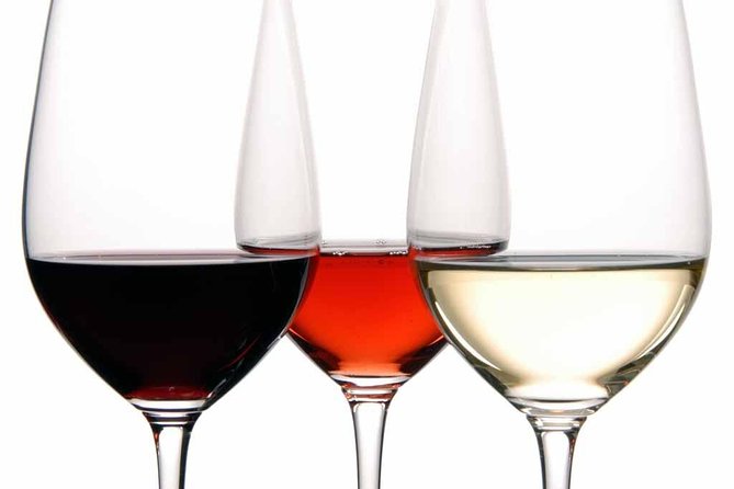 PREMIUM TAPAS TOUR: Tapas, Paella and Winery - Guide quality is part of the meal