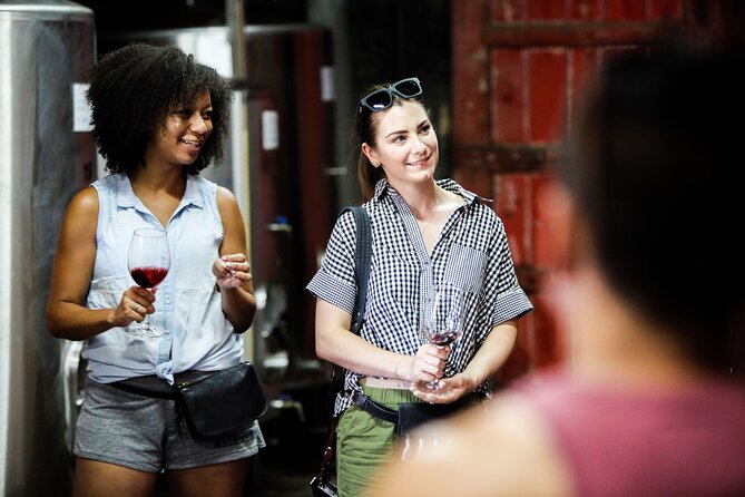 PREMIUM TASTING and TAPAS with GUIDED TOUR - Key points to know before you book