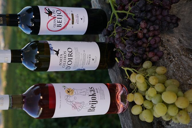 PREMIUM TASTING and TAPAS with GUIDED TOUR - What makes the small group useful