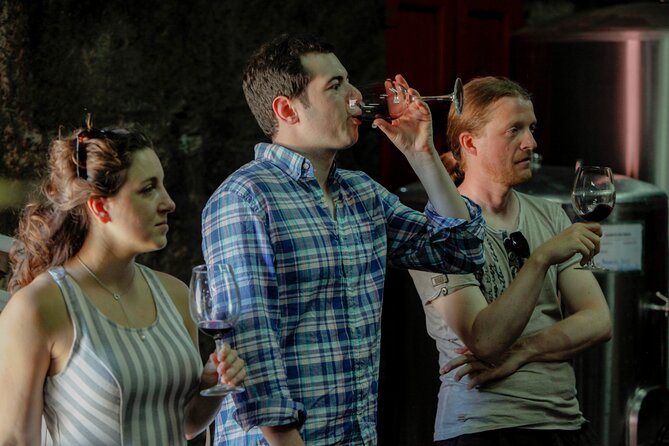 PREMIUM TASTING and TAPAS with GUIDED TOUR - A short tour with real cellar context