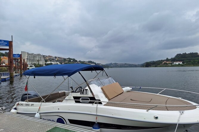 Private 6 Bridges Cruise with Tapas and Port Wine - Five bridges and the changing Porto view