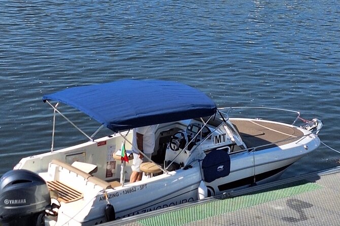 Private 6 Bridges Cruise with Tapas and Port Wine - Leaving Freixo Marina for the historic riverfront