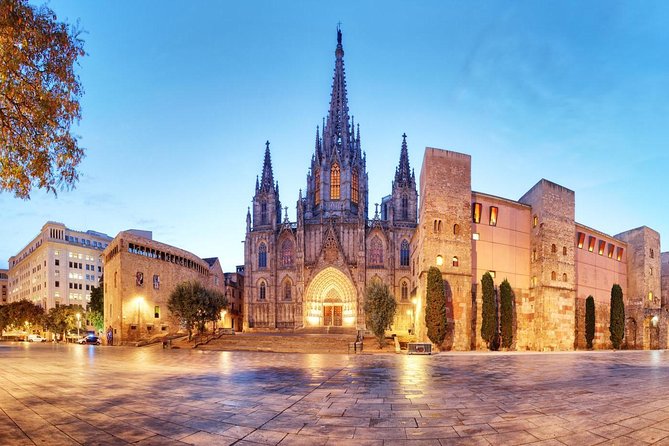 Private Barcelona Walking Tour & Wine Tasting + Tapas Dinner - Barcelona after dark, one neighborhood at a time