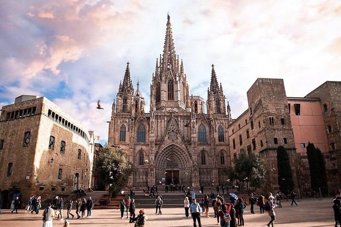 Private Barcelona Walking Tour & Wine Tasting + Tapas Dinner - Who should book this Barcelona evening?