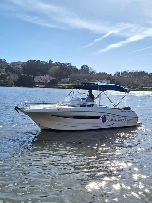 Private Boat Tour in Porto with Portuguese Tapas Option - From Marina do Freixo to Porto’s eastern bridges