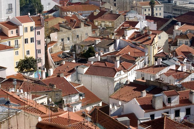 Private Lisbon Tour with Premium Portuguese Wine and Tapas Tasting - Who should book this Lisbon afternoon?