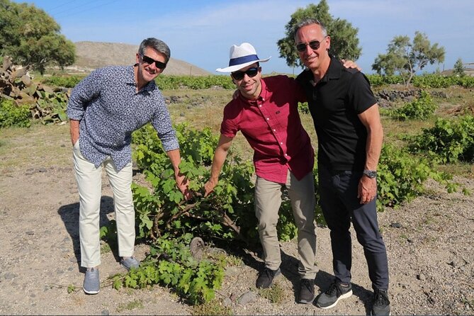 Private Santorini Sunset Wine Tour with Tastings and Tapas - Santo Wines: the sunset finale