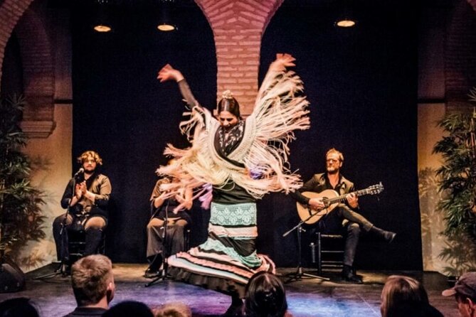 Private Seville Flamenco & Tapas Experience - The one-hour flamenco performance at Museo del Flamenco de Sevilla