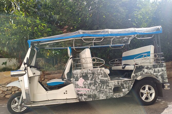 Private tapas tuk tuk tour through Lisbon - Petiscos, wine, and the social side of the ride