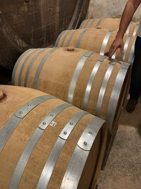 Private tour: Wine and tapas, experience real Mallorca - Five wines, one Mallorcan table