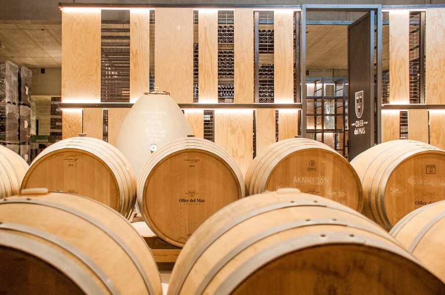 Private Wine, Tapas & Cava Experience from Barcelona - Weather, clothing, and accessibility
