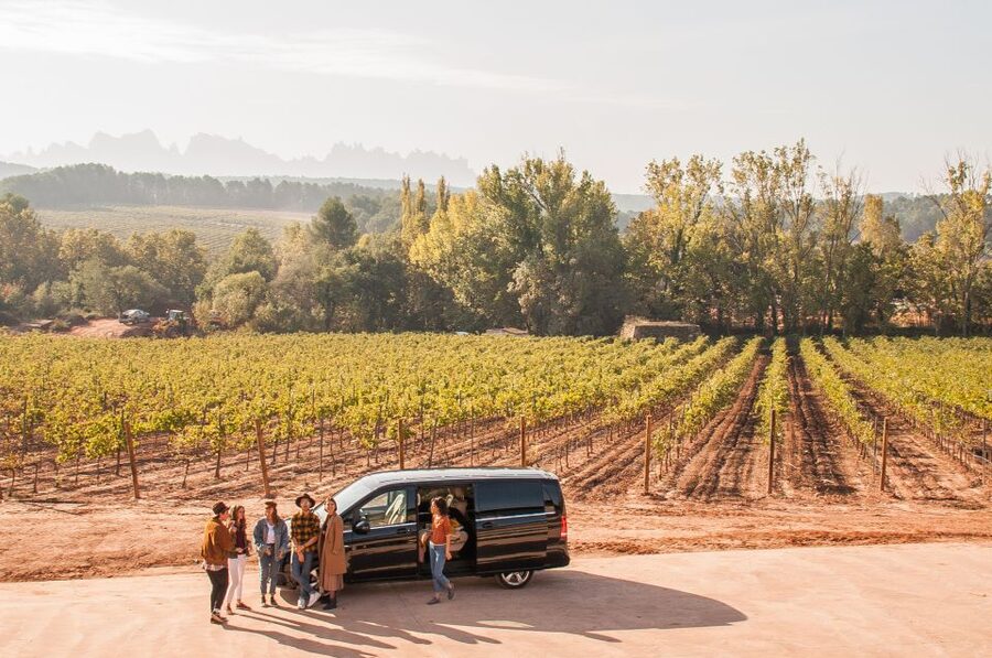 Private Wine, Tapas & Cava Experience from Barcelona - Why this wine day feels different from a standard tasting