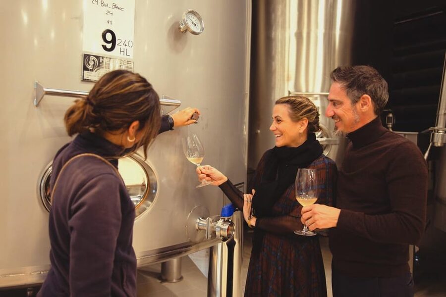 Private Wine, Tapas & Cava Experience from Barcelona - Penedès and the underground world of cava