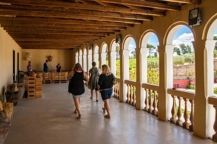 Private Wine, Tapas & Cava Experience from Barcelona - What you will eat with the wine