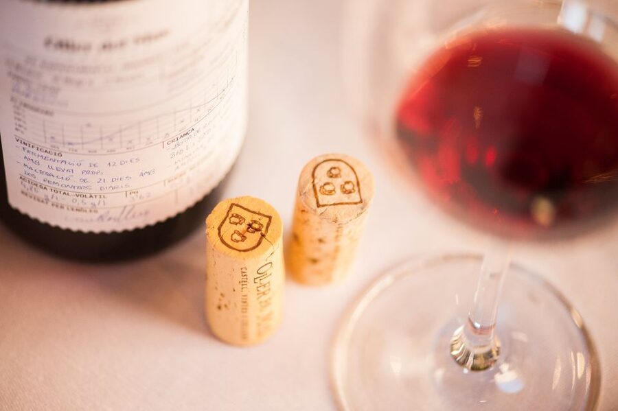 Private Wine, Tapas & Cava Experience from Barcelona - The guide can make or break the day