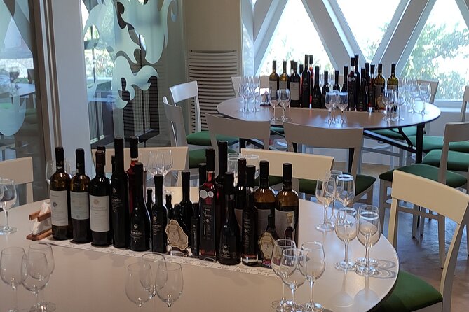 Private Wine Tour in 3 Wineries with 12 Wine Tastings and Tapas - Who should book this wine tour?