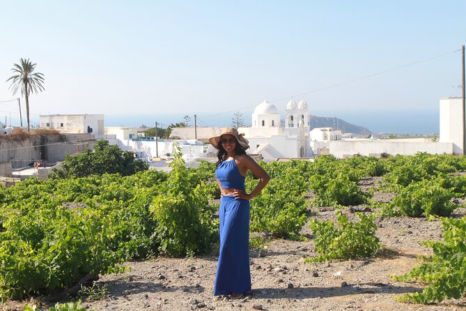 Private Wine Tour in 3 Wineries with 12 Wine Tastings and Tapas - Stop three: Venetsanos above the caldera