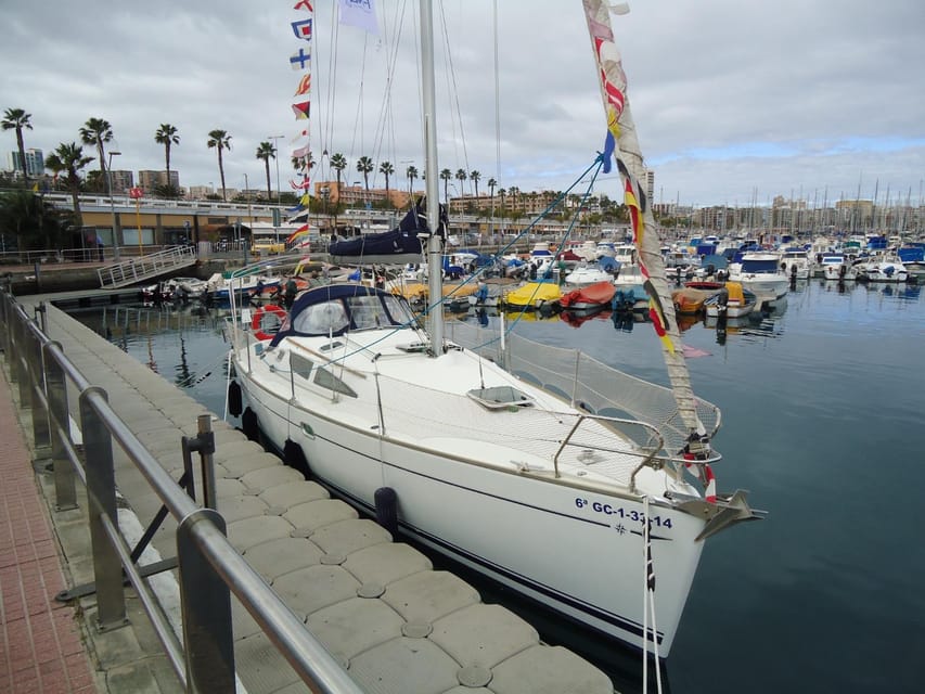 Puerto Rico: Sailing excursion with swim, drinks and tapas. - Who will enjoy this boat trip most