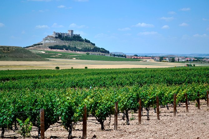 Ribera del Duero Small Group Tour: Tapas & Wine Tasting - Key points to know before booking