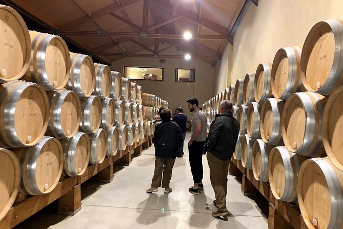 Ribera del Duero Small Group Tour: Tapas & Wine Tasting - Leaving Madrid at 8:00 am