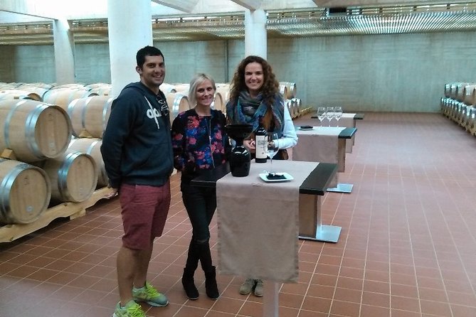 Ribera del Duero Small Group Tour: Tapas & Wine Tasting - Barrel wine, caves, and the working side of Ribera del Duero
