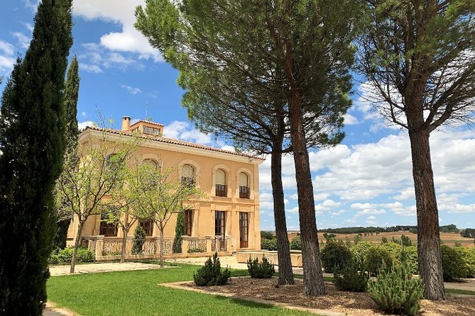 Ribera del Duero Small Group Tour: Tapas & Wine Tasting - Who should book this day trip?