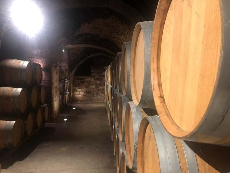 Rioja Wine Tour: 3 Wineries & Pintxos Lunch - Michael’s role as your sommelier guide
