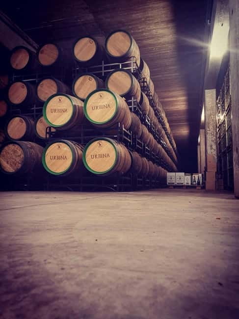 Rioja Wine Tour: 3 Wineries & Pintxos Lunch - Laguardia: your first look at Rioja wine country
